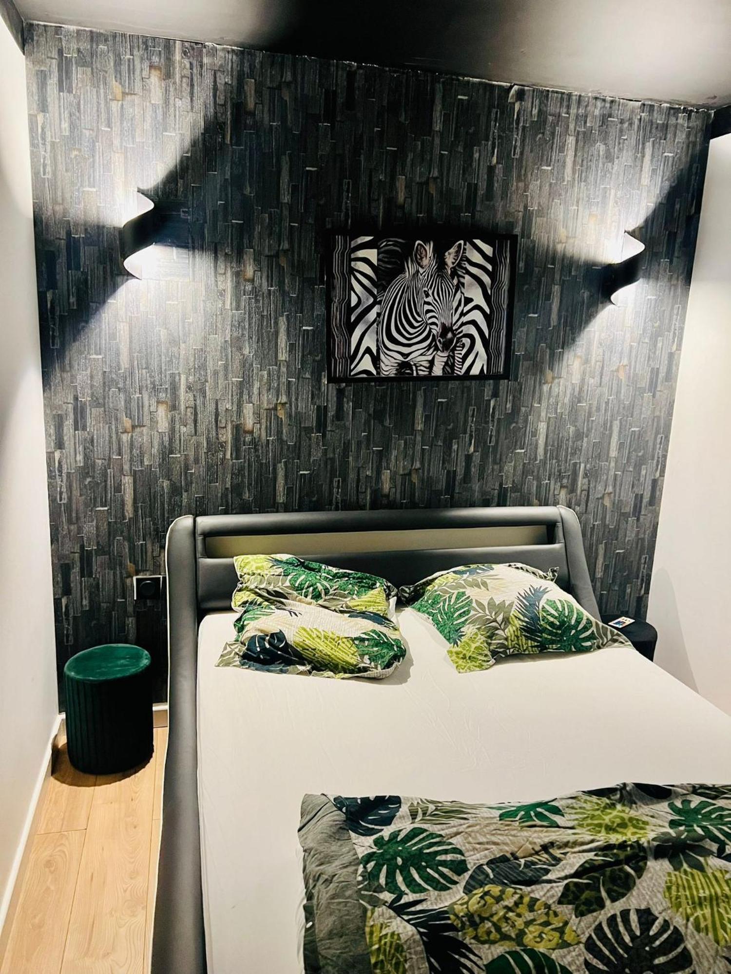Appartement Moderne Vieille Ville Parking Gratuit 阿讷西 外观 照片